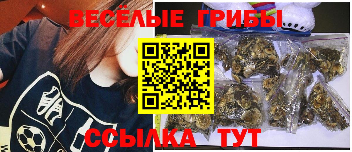 Отрадное  Псилоцибиновые грибы GOLDEN TEACHER  Вход с VPN  Галлюциногенные грибы Magic Shrooms 