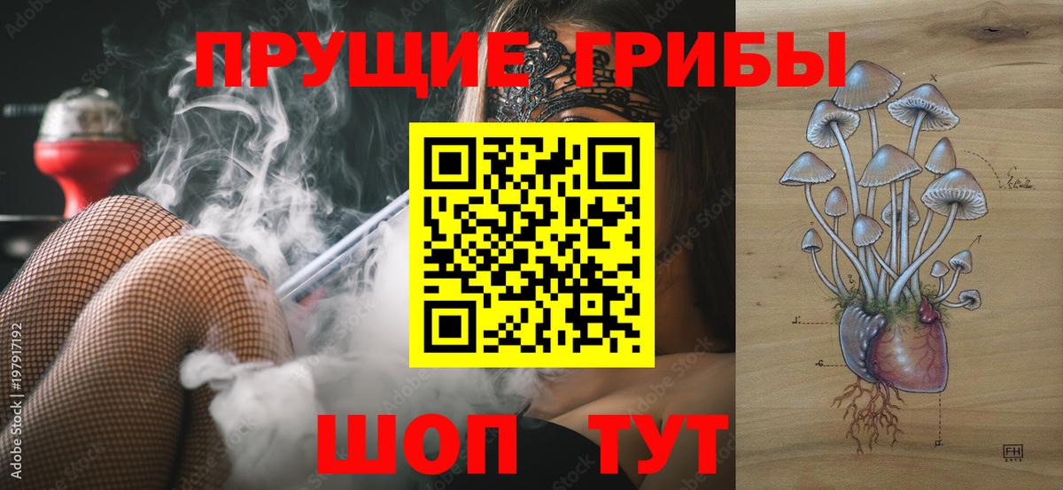 Псилоцибиновые грибы Psilocybe Отрадное